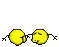 [asskissf.gif]