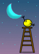 [pluckmoon.gif]